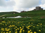 12 Partenza dai Piani dell'Avaro (Albergo Monte Avaro-1704 m)